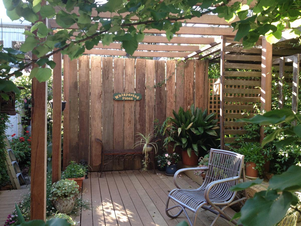 Whispering Pines Bed And Breakfast Collie Esterno foto