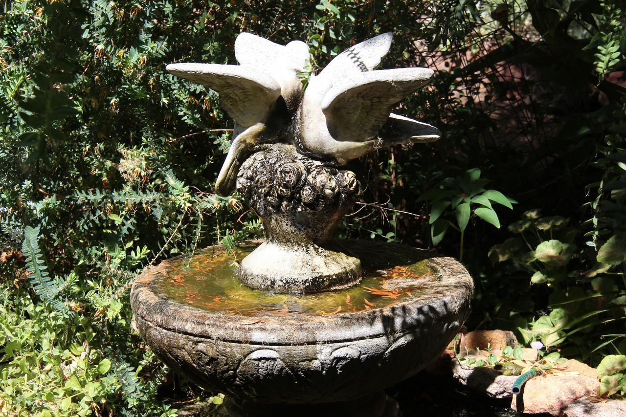 Whispering Pines Bed And Breakfast Collie Esterno foto