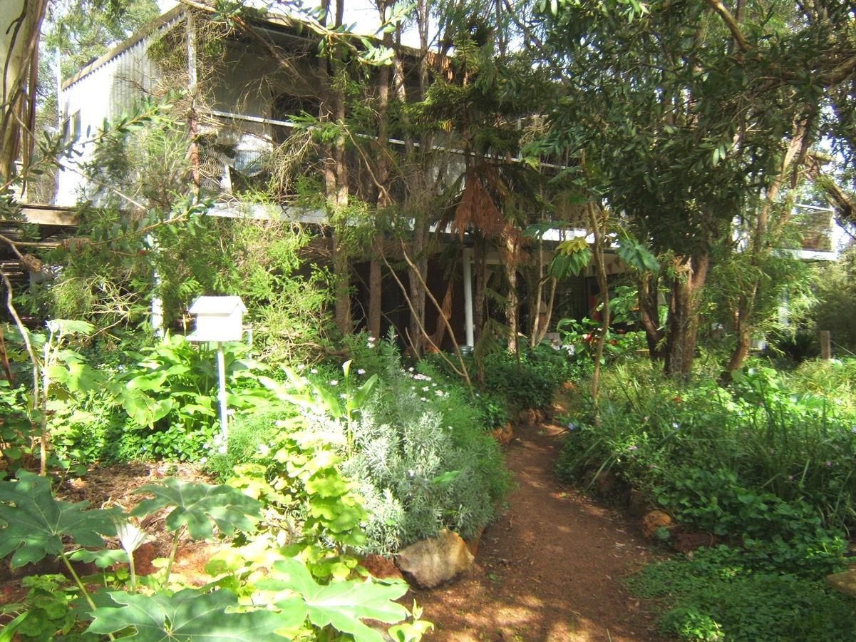 Whispering Pines Bed And Breakfast Collie Esterno foto